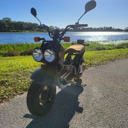 2019 Honda Ruckus 