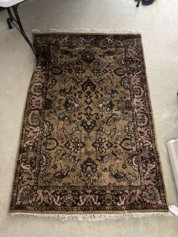 Hand Knotted Area Rug 