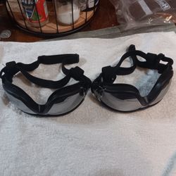 Dog Sunglasses