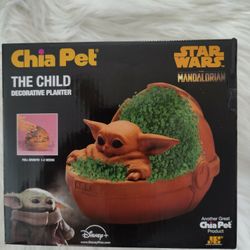 Chia Pet 1-in Green in Plantable Container