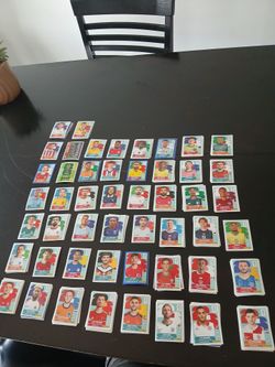 Panini stickers