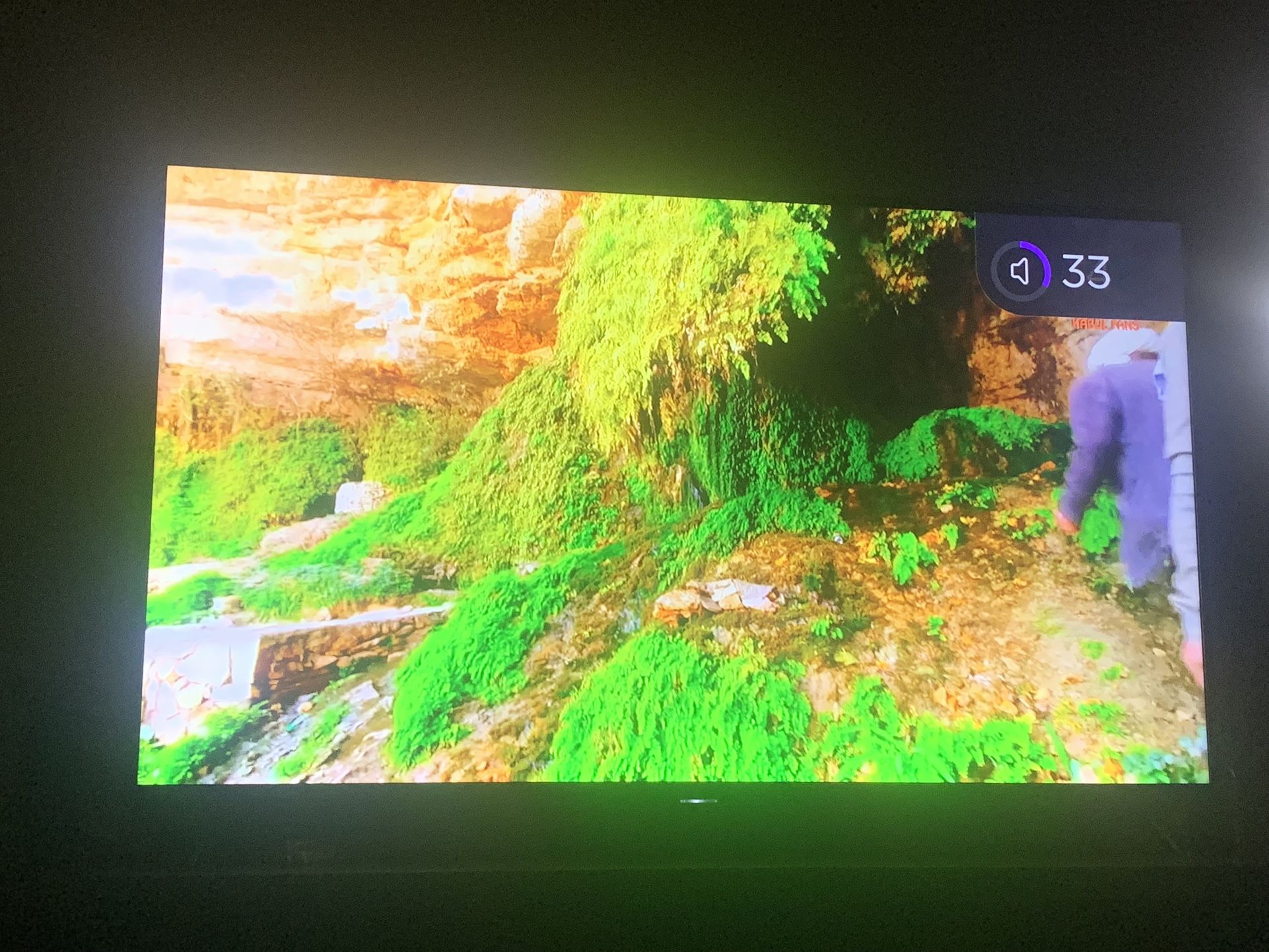 65 Inch TCL Roku Tv