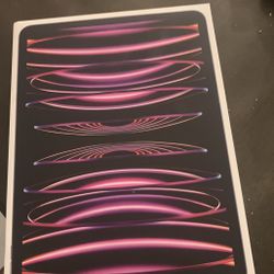 iPad Pro 11 Inch 256GB 4th Generation Wi-Fi 