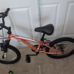 Diamondback 20 Kids bike