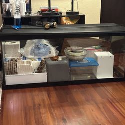 75g Aquarium w/ Hamster Supplies