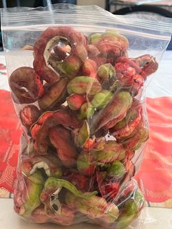 Guamuchiles ( Pinzones )