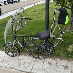 Gold Rush recumbent bike
