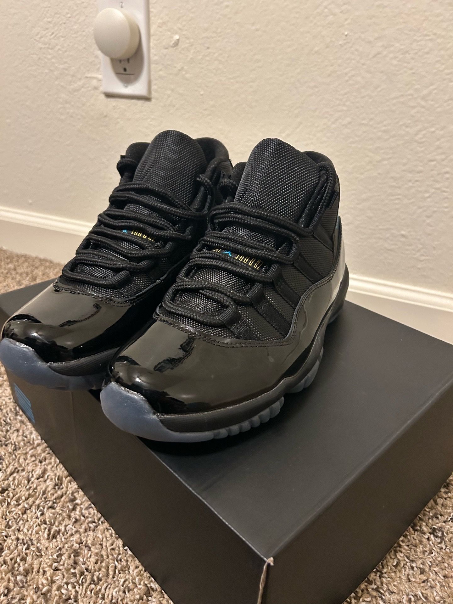 Jordan 11 retro gammas