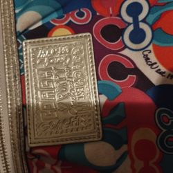 Coach Multicolor Crossbody Bag $80