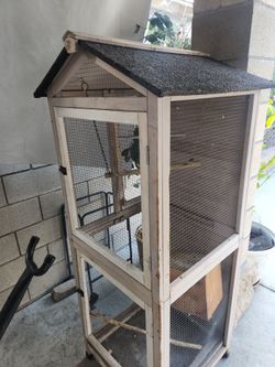 Bird Cages