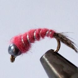 Heavy Weighted Cztech Nymph Pink