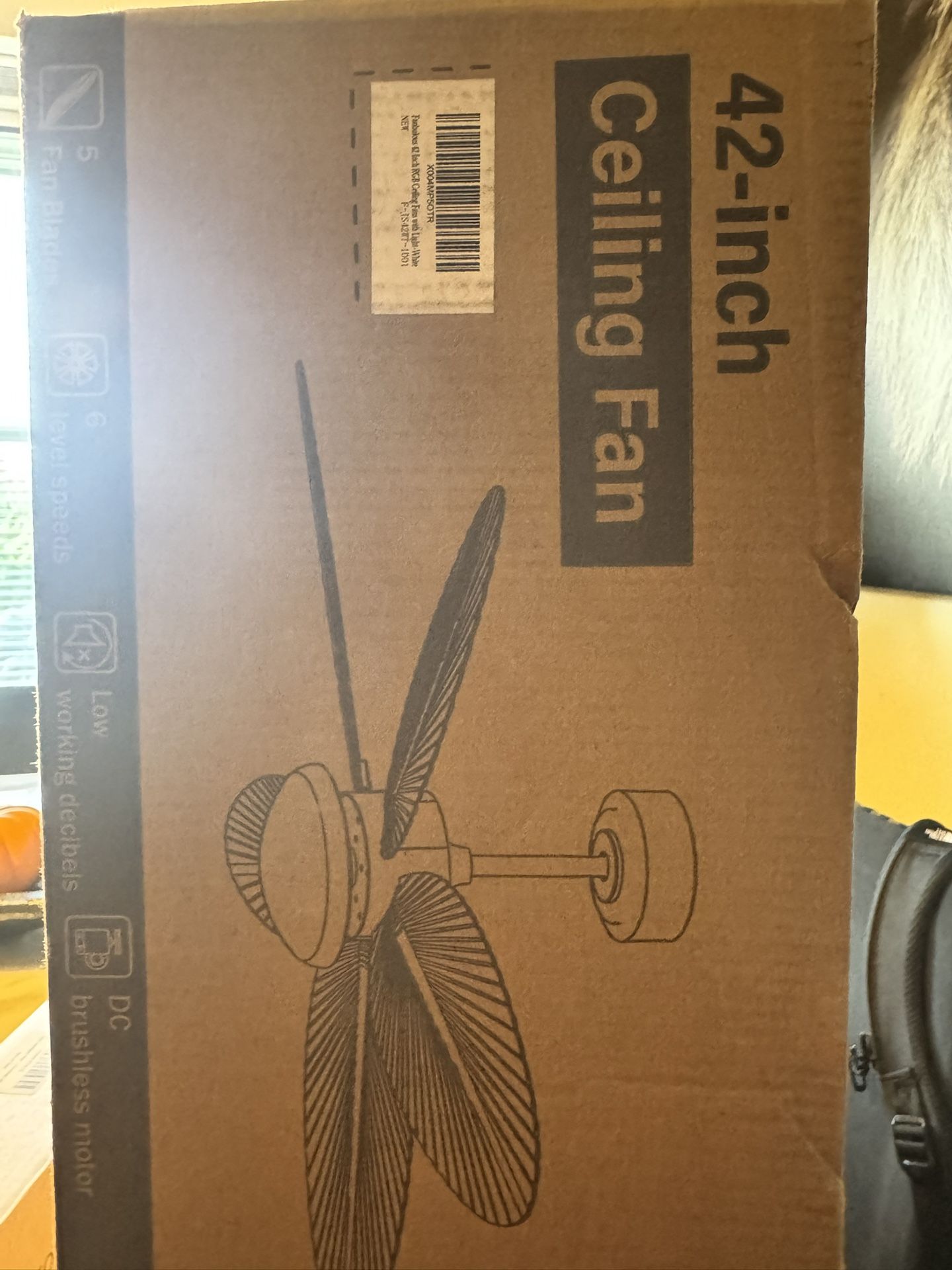 Fan