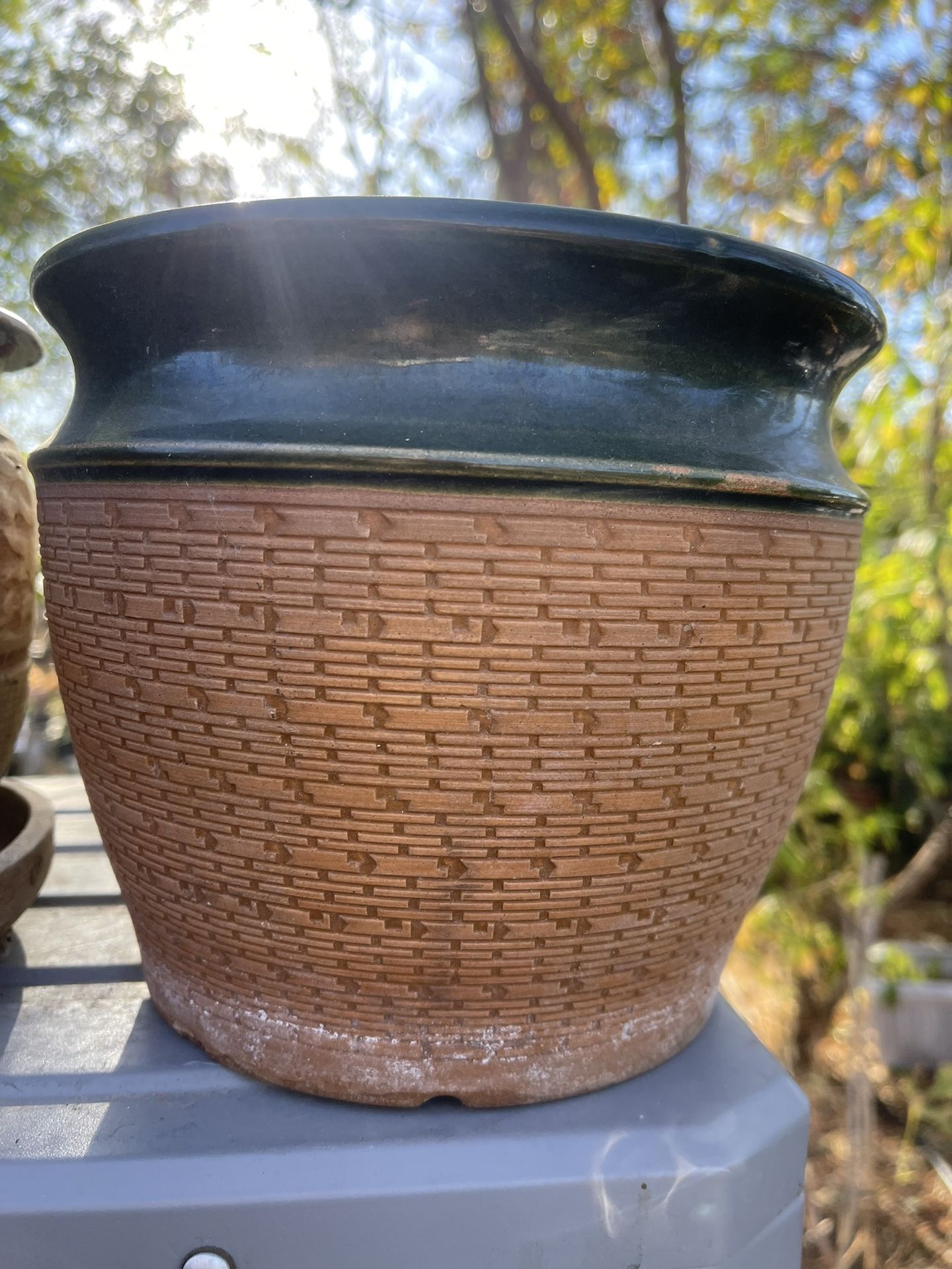 Pots For Plants Price Any One Diferent 5 And Up
