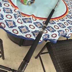 Calstar Saltwater Fishing Rod