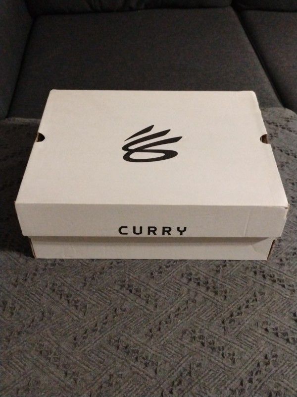 Curry 6