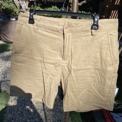 $1 And Now This Khaki Shorts, Size 34, Great Condition