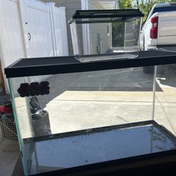 30 Gallon Aquarium 