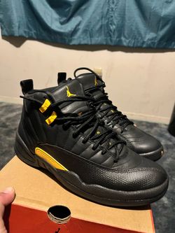 Air Jordan 12 retro