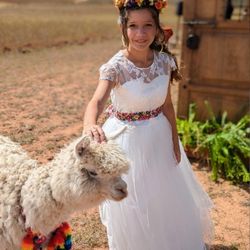 Flower Girl Or Mini Bride Dress