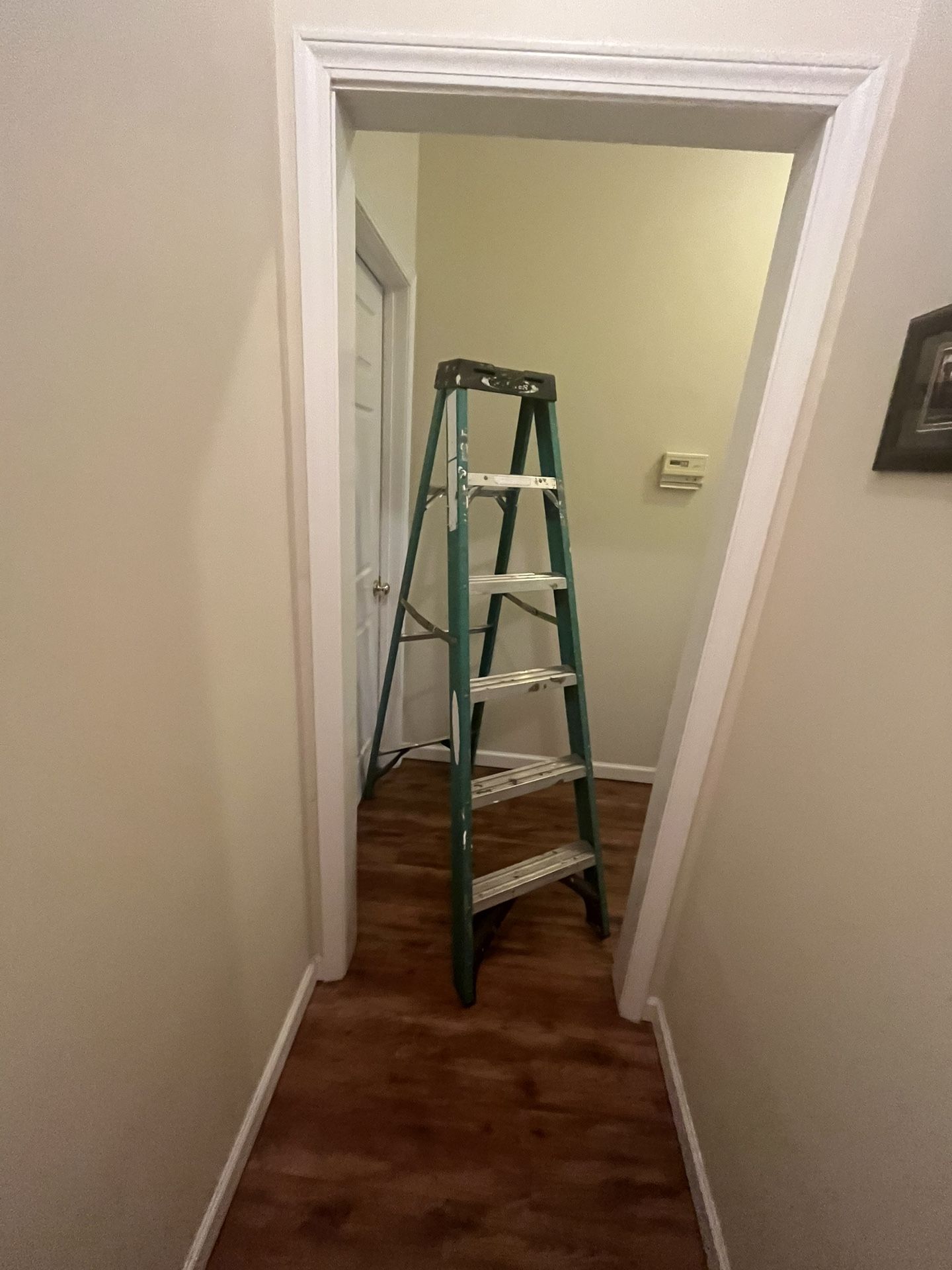 6 Ft Ladder