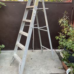 6 ft. Aluminum ladder