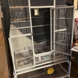 Pet