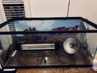 Reptile Tank And Lights