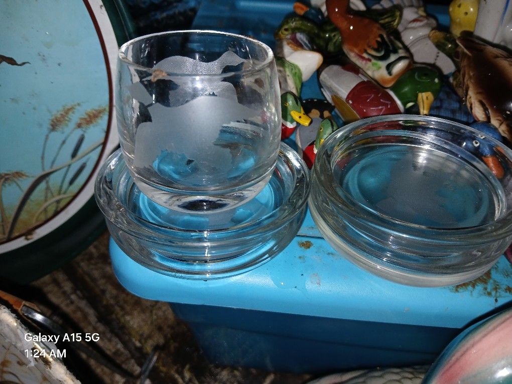 Glass Duck Coasters And Glass