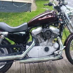 2005 Harley Davidson Xl883c