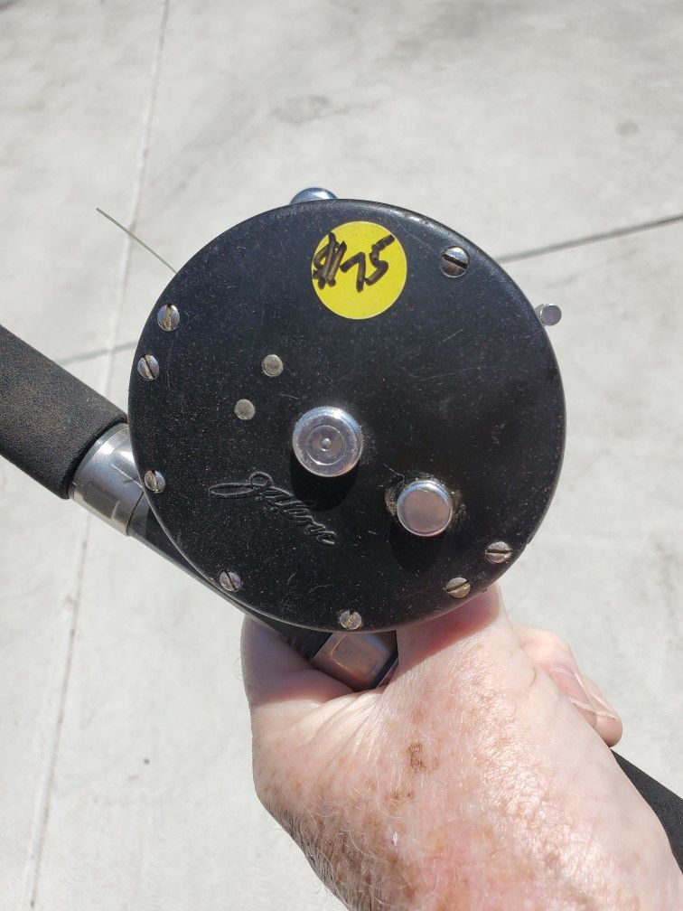 Fishing Rod & Reel