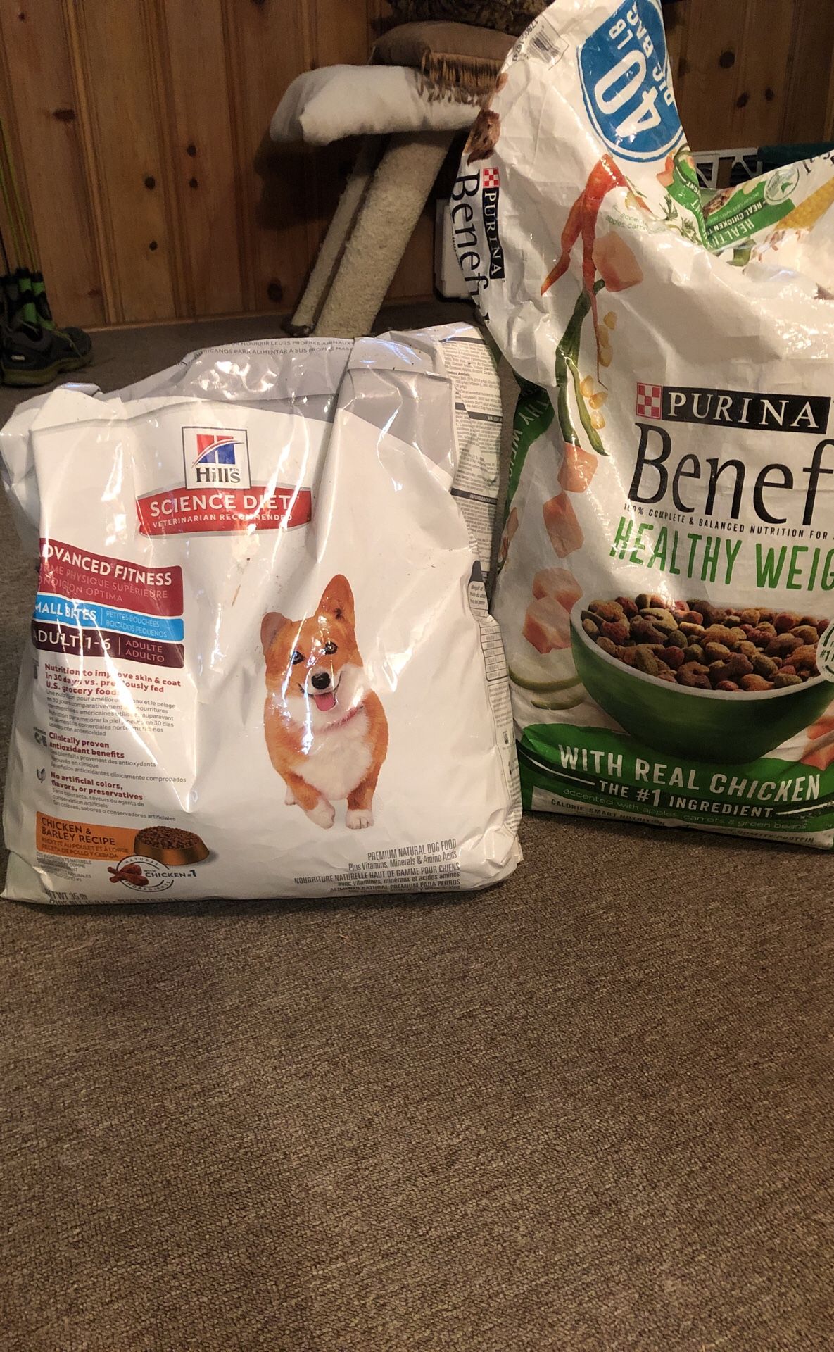 Dog food