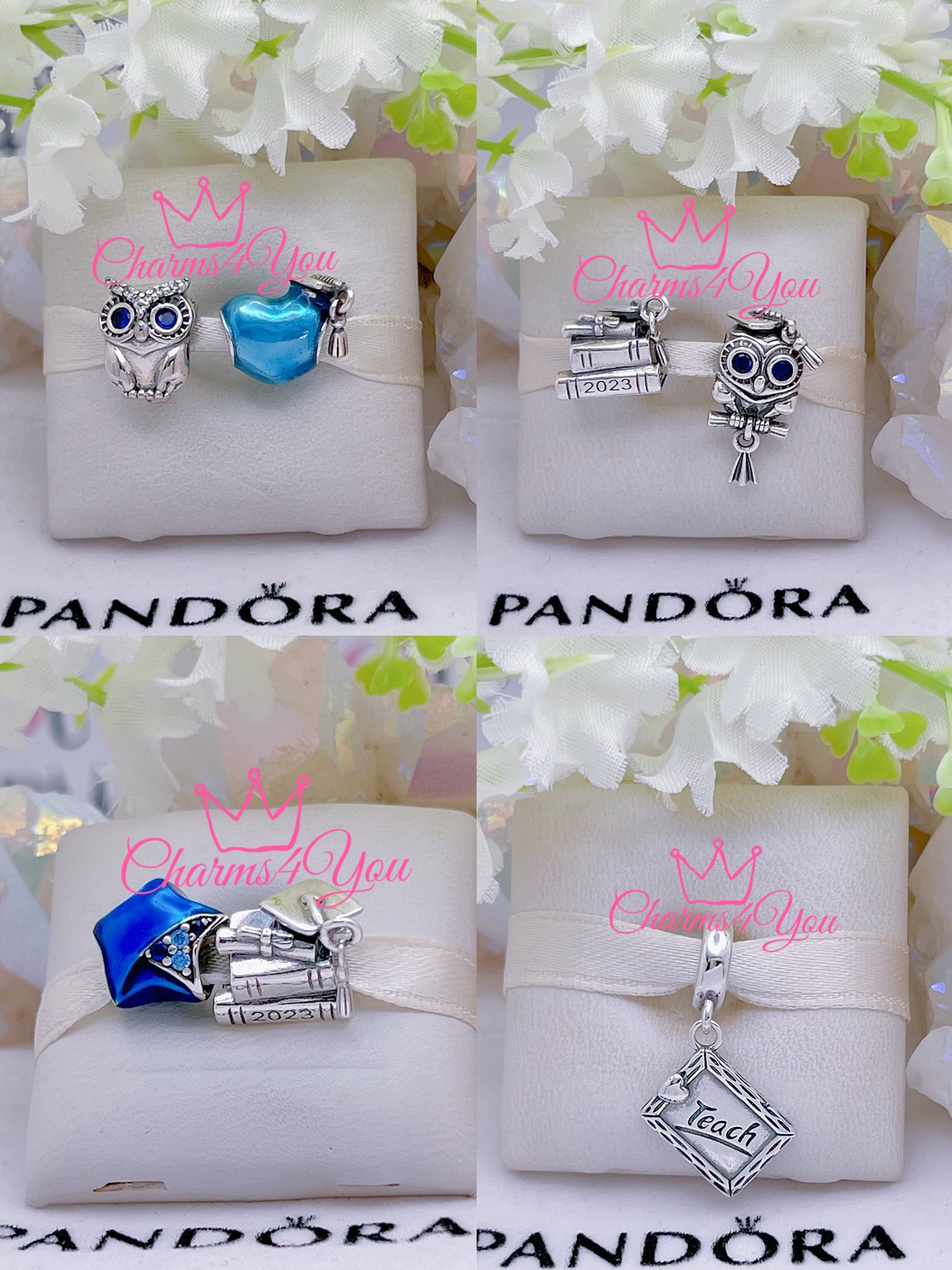 Adorable 925 silver charm for Pandora Moments bracelet.  🫠 $25 each.