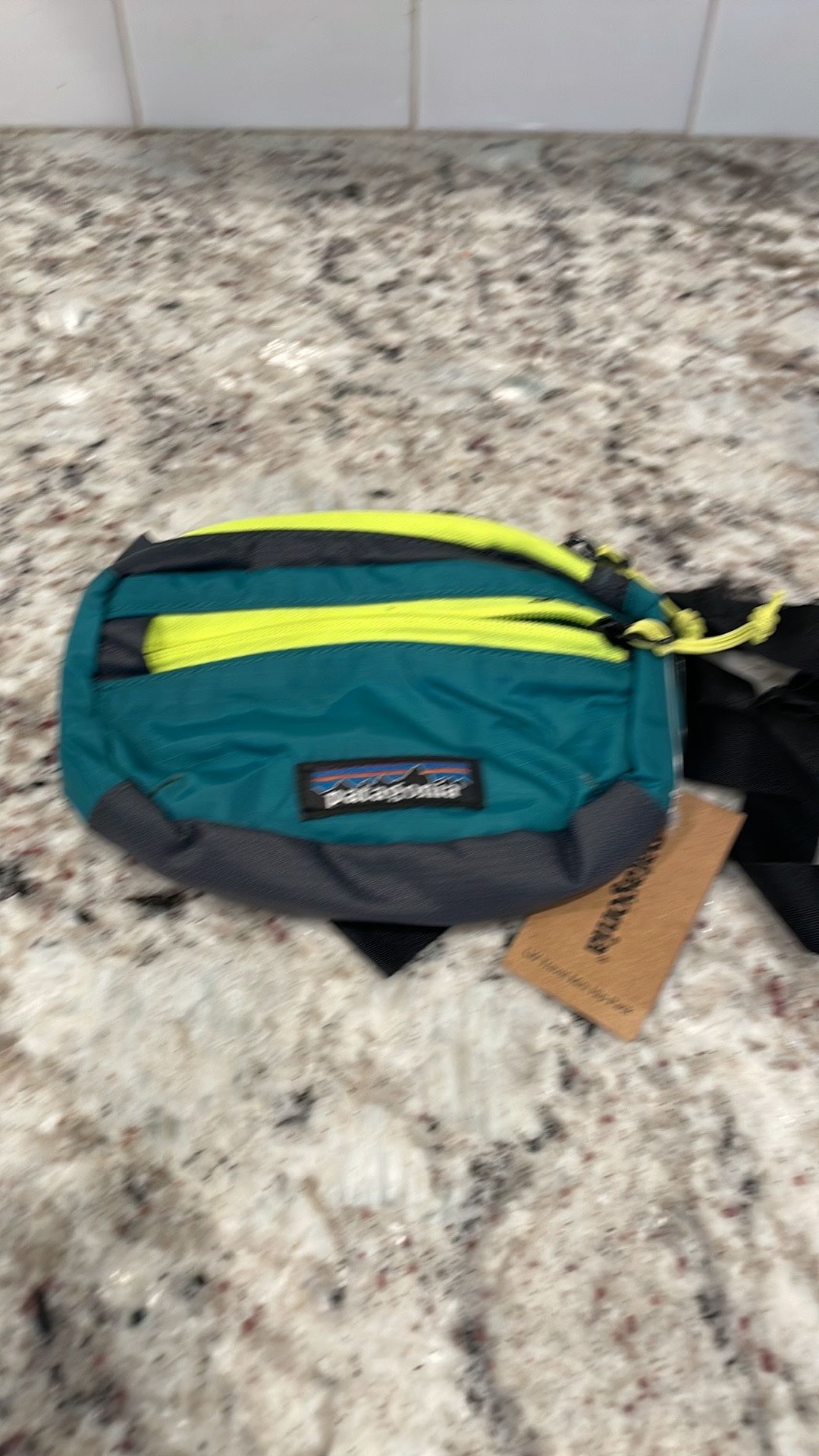 Patagonia Fanny Pack Unisex Bag
