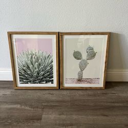Cactus pictures both for $20 (UTC area)