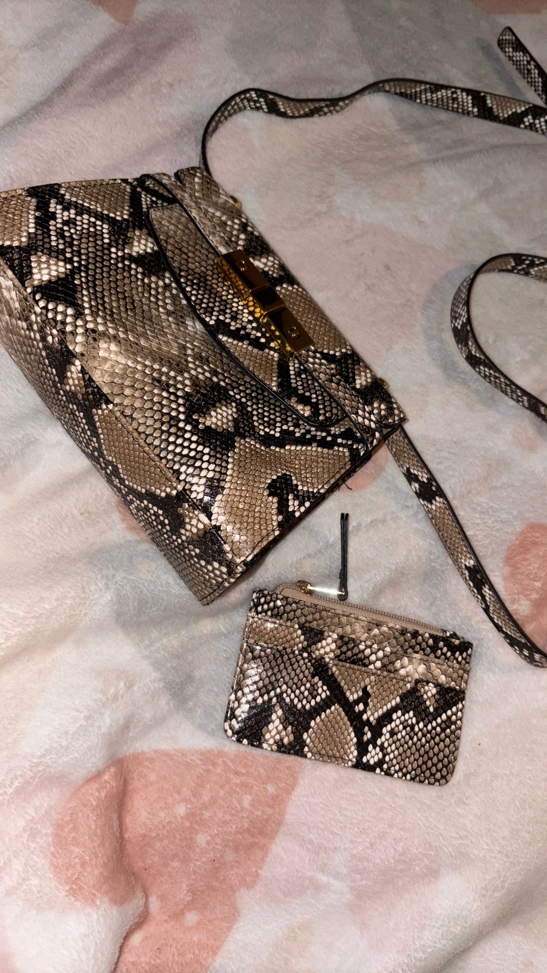 Snake Print Cross Body Bag