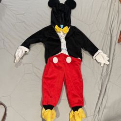 Disney Costume