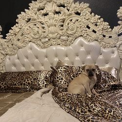 Real Wood Crafted Tufted Rhinestones Bed Frame 