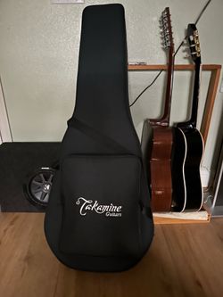 Takamine semi hard case
