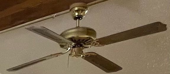 Fan