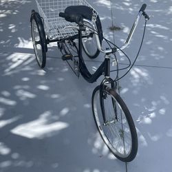 tree Cycle bike