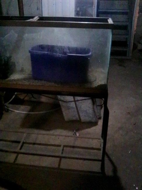 55 Gallon Fish Tank With 25 Lbs Of Little Rocks And 20 Pounds Of Corals With Stand