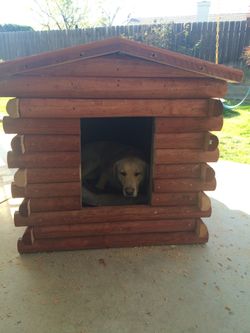Doghouse