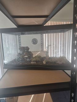 Reptile aquarium