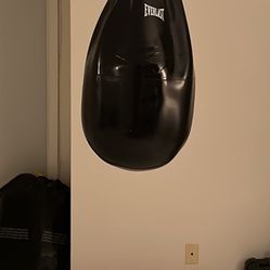 Everlast Water Boxing Bag 