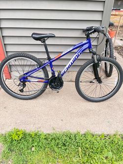 Schwinn 24 inch bike