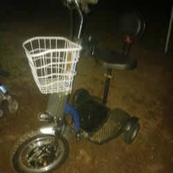 Electric Trike