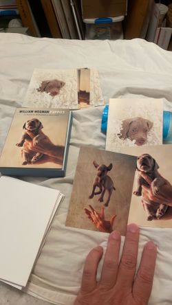 William wigwam puppies cards