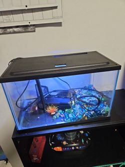 Aquarium Tank 5 Gallons With 2 Mode Light