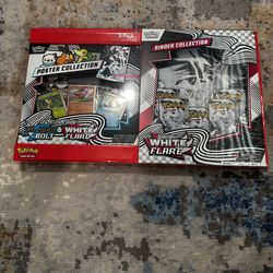 Pokemon Scarlet a d Violet Black Bolt/White Flare