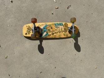 Sector 9 Short Board